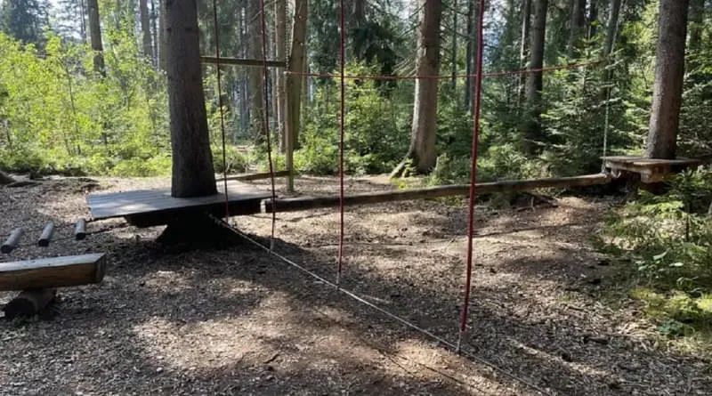 Waldschule Waldschule